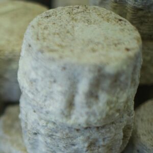 penészes kecskesajt